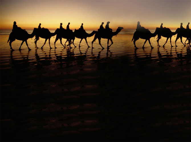 القوافل الصحراء